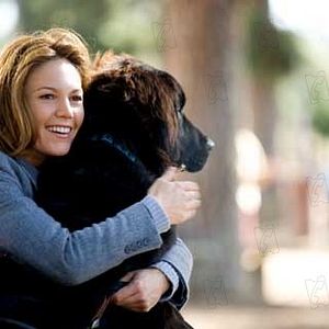 Bilder Gary David Goldberg