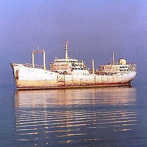 Bilder Mohammad Rasoulof