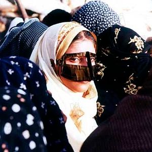 Bilder Mohammad Rasoulof