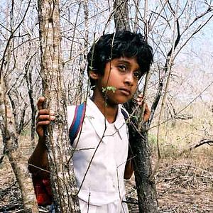 Bilder Vimukthi Jayasundara