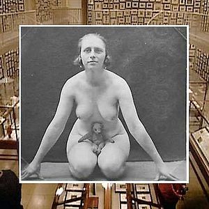 Bilder Ydessa, les ours et etc.