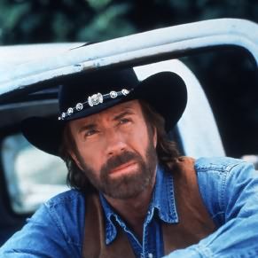 Bilder Chuck Norris