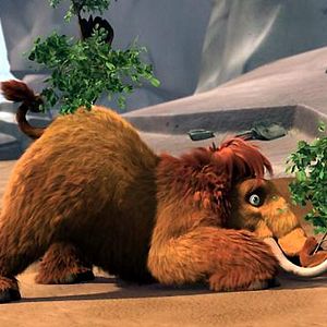 Bilder Carlos Saldanha