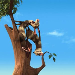 Bilder Carlos Saldanha