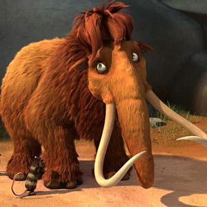 Bilder Carlos Saldanha