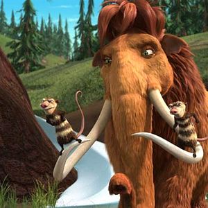 Bilder Carlos Saldanha