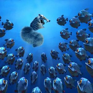 Bilder Carlos Saldanha