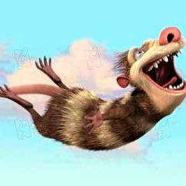 Bilder Carlos Saldanha