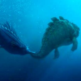 Bilder Carlos Saldanha