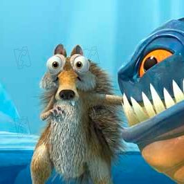 Bilder Carlos Saldanha