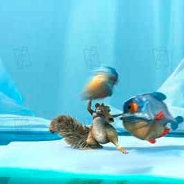 Bilder Carlos Saldanha