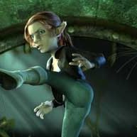 Bilder Lenard Fritz Krawinkel