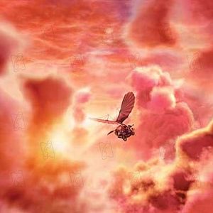 Bilder Lenard Fritz Krawinkel