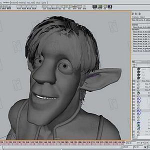 Bilder Lenard Fritz Krawinkel