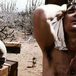 Bilder Marcelo Gomes