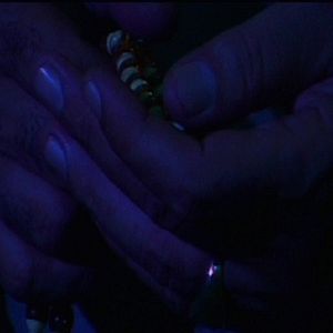 Bilder Monika Borgmann