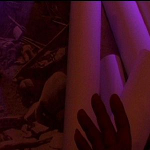 Bilder Monika Borgmann