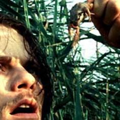 Bilder Wim Vandekeybus