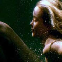 Bilder Wim Vandekeybus