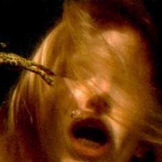 Bilder Wim Vandekeybus