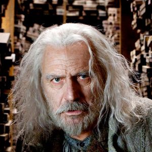 Bilder Rade Šerbedžija