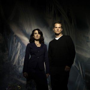 Bilder Brian Van Holt