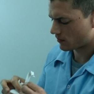 Bilder Wentworth Miller