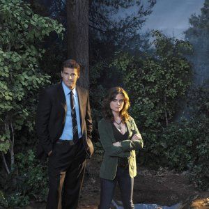 Bilder David Boreanaz