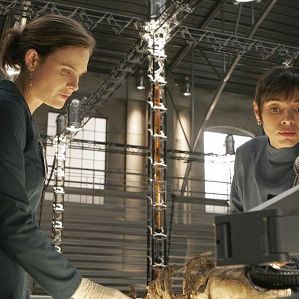 Bilder Tamara Taylor