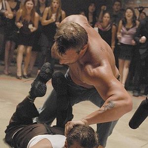 Bilder David Boreanaz