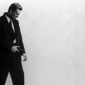 Bilder Asphalt-Dschungel