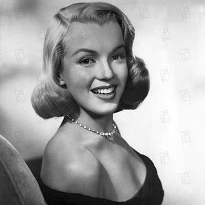 Bilder Asphalt-Dschungel