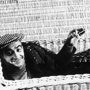 Bilder Radieschen von unten