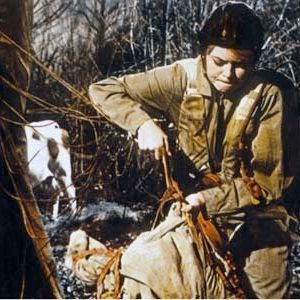 Bilder Babette zieht in den Krieg