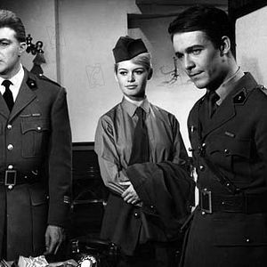 Bilder Babette zieht in den Krieg