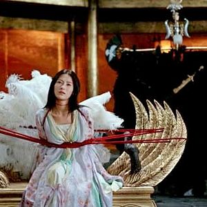 Bilder Cecilia Cheung