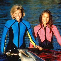 Bilder Flippers neue Abenteuer