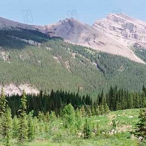 Bilder Brokeback Mountain