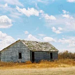 Bilder Brokeback Mountain