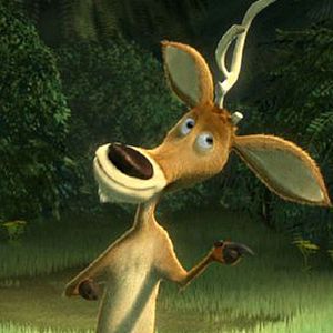 Bilder Anthony Stacchi