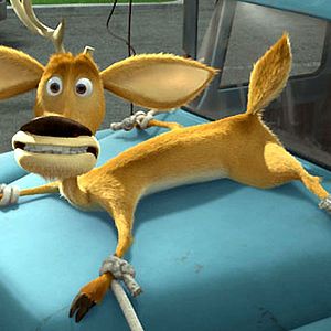 Bilder Anthony Stacchi