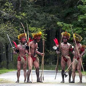 Bilder Griffin Dunne