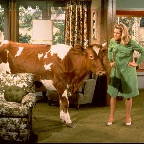 Bilder Elizabeth Montgomery