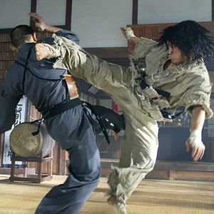 Bilder Fighter in the wind