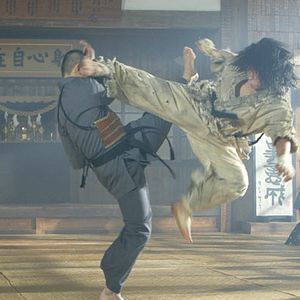 Bilder Fighter in the wind