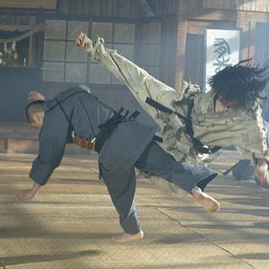 Bilder Fighter in the wind