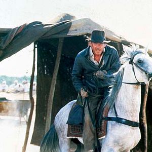 Bilder Jäger des verlorenen Schatzes