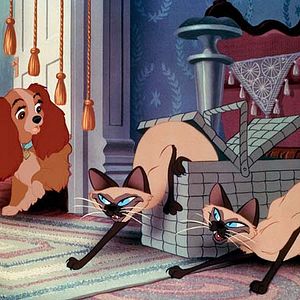 Bilder Wilfred Jackson