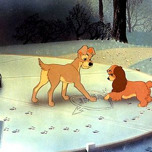 Bilder Wilfred Jackson