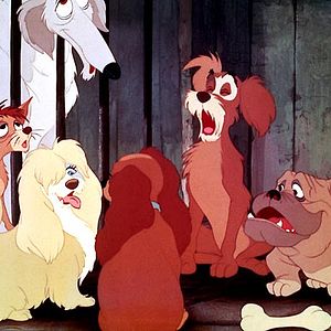 Bilder Wilfred Jackson